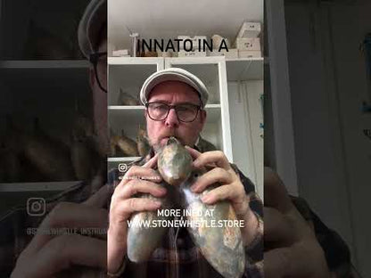Innato A3